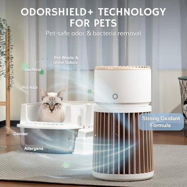 Découvrez notre test complet du purificateur d'air airthereal AGH400-PET : performances, filtration et efficacité pour la santé de vos animaux de compagnie. 